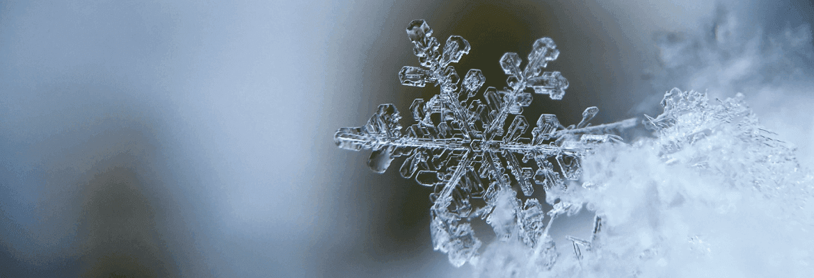 Przerwa świateczno-noworoczna 2025-2026