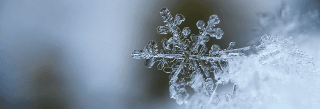 Przerwa świateczno-noworoczna 2025-2026